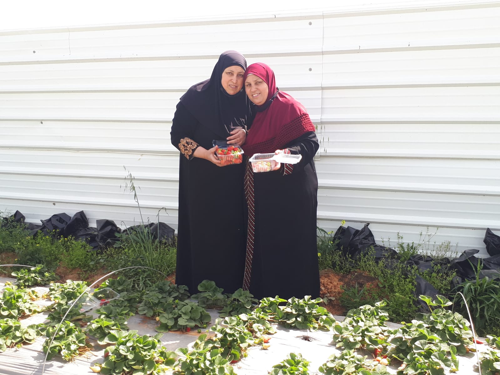 WhatsApp Image 2021-04-11 at 11.52.40 AM.jpeg